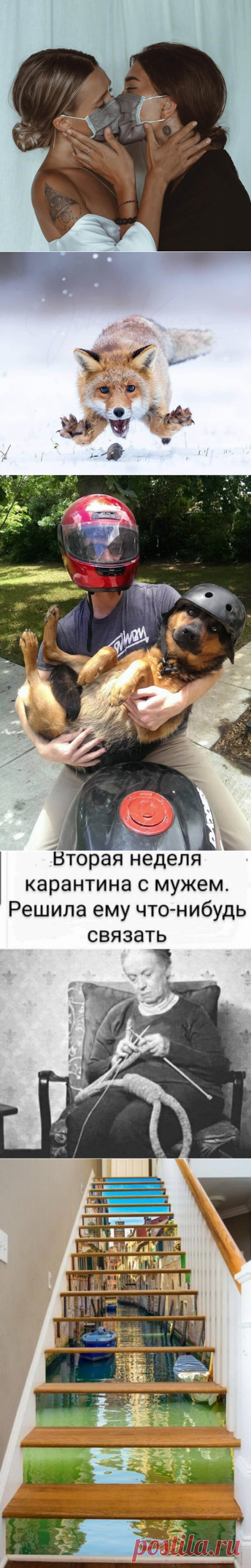 Подборка прикольных картинок и фотографий-247