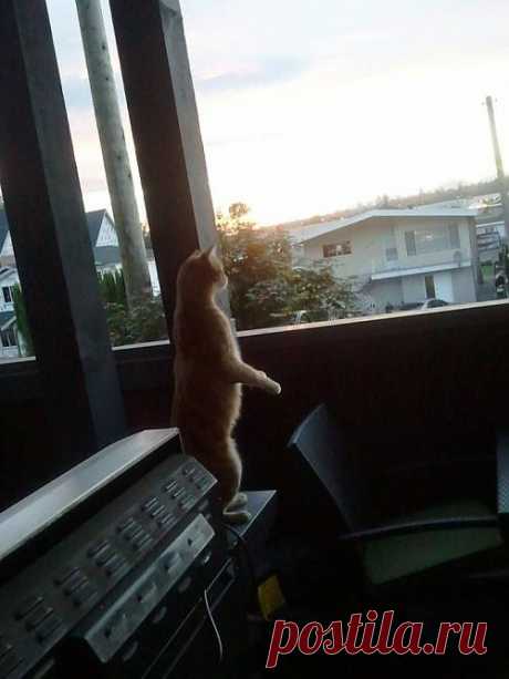 Ну и что там за окном ....