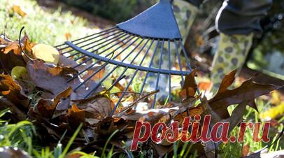 Участниками субботника в Тюмени стали почти 20 тысяч человек. В осеннем субботнике в Тюмени приняли участие 19 659 жителей. Убрано 6,2 тыс. кубометров мусора на территории общей площадью 5,7 тыс. кв. м. Читать далее