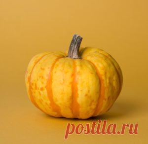 Тыква: польза и вред для организма Здоровье - ТЕМА онлайн журнал