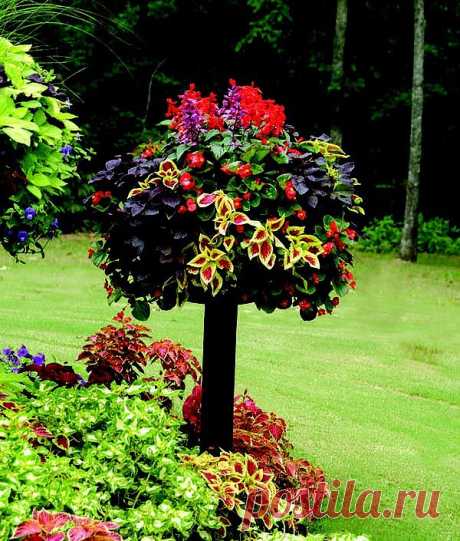 Flowers/Gardens