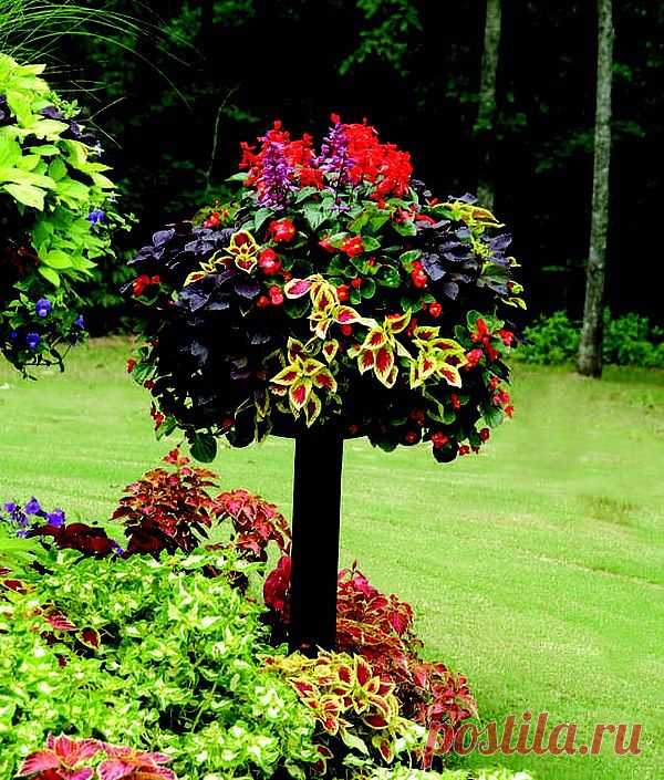 Flowers/Gardens