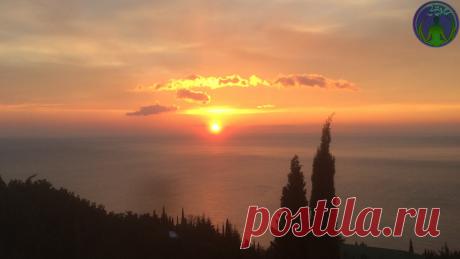 Важное для меня слово, которое стараюсь говорить каждый день: "Благодарю" | ЗОЖ путь изнутри вовне | Яндекс Дзен