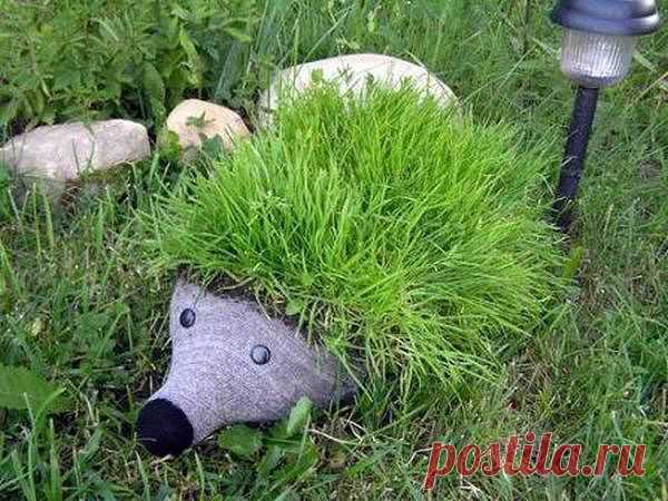 Одноклассники