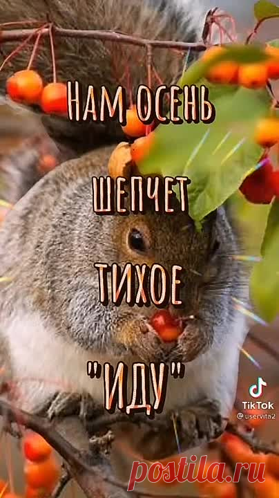 e3538e4a0a24b88bd43a5bae1b21130f.mp4