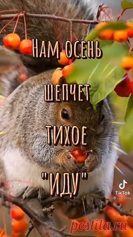 e3538e4a0a24b88bd43a5bae1b21130f.mp4