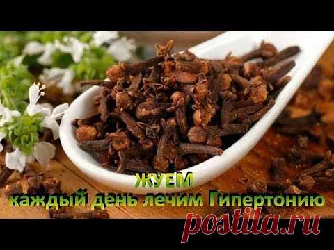 ГВОЗДИКА СУШЕНАЯ ДЛЯ ПОЖИЛОГО ВОЗРАСТА. КАК ОПРЕДЕЛИТЬ ПОЛЕЗНЫЕ СВОЙСТВА ,ЧТО МОЖНО ЛЕЧИТЬ