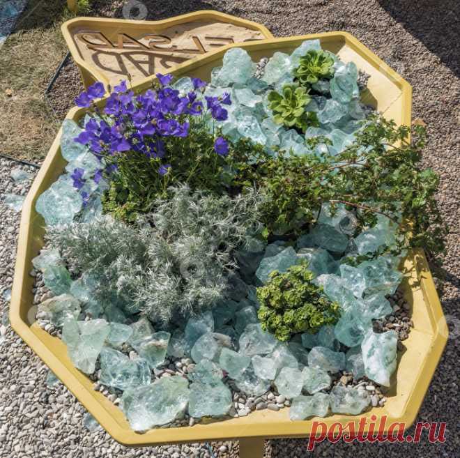 Изображение крупным планом декоративной клумбы с цветами и декоративными растениями, камнями и минералами. - Ozero - российский фотосток