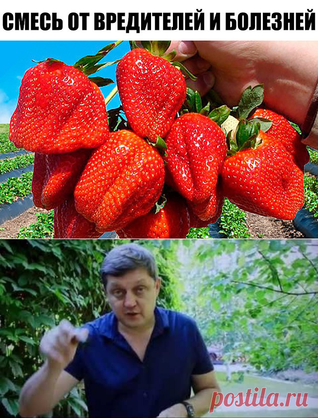 (46) Одноклассники