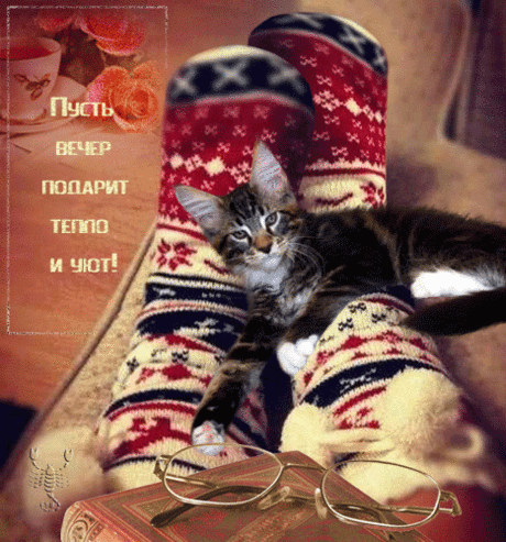 Пусть вечер подарит тепло и уют! - открытки и картинки Пусть вечер подарит тепло и уют! - Добрый вечер красивые открытки для поздравления и анимационные картинки на праздник