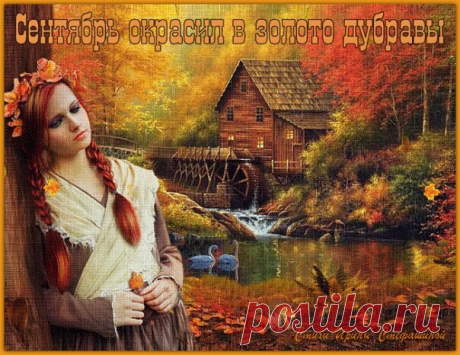 Сентябрь окрасил в золото дубравы... новые стихи о любви. | Ирина Стефашина | Яндекс Дзен
