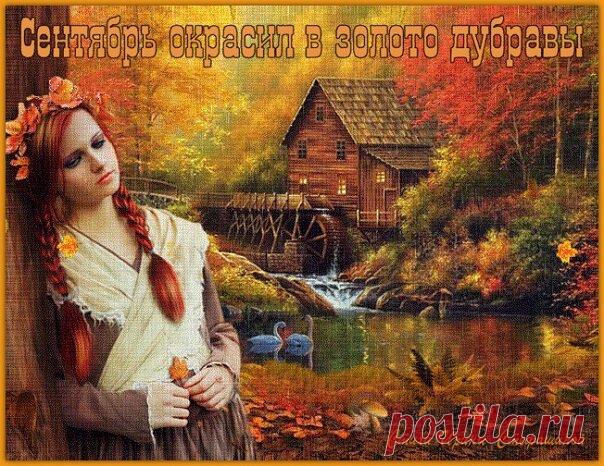Сентябрь окрасил в золото дубравы... новые стихи о любви. | Ирина Стефашина | Яндекс Дзен