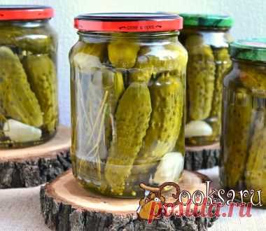 Маринованные корнишоны фото рецепт приготовления