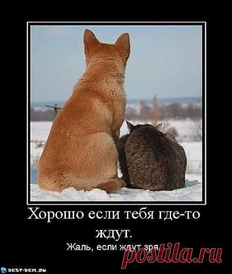 Я думаю не зря!!!