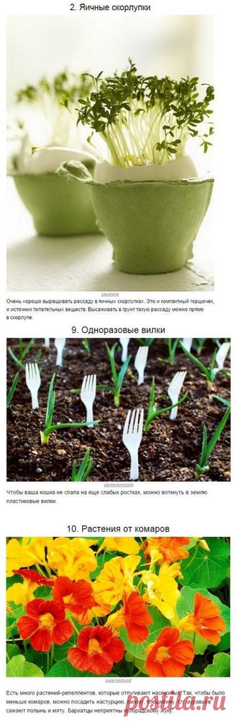 Десяток отличных советов для дачников