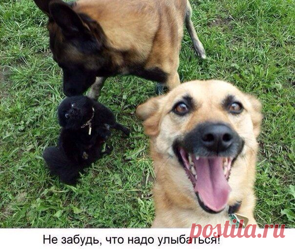 9 секретов идеального селфи! ))) - Смешные картинки и надписи - Женский Мир