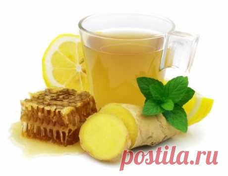 Здоровье | Записи в рубрике Здоровье | Дневник LediLana " О самом интересном и познавательном"