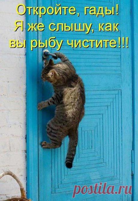 Хотят обделить