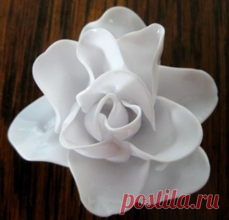 Чудесная декоративная роза