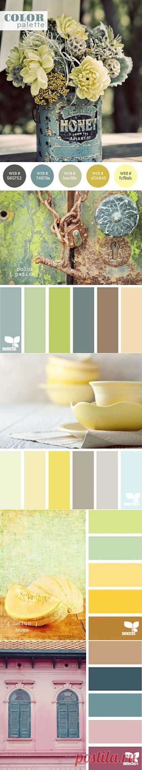 Color Palette for Kitchen