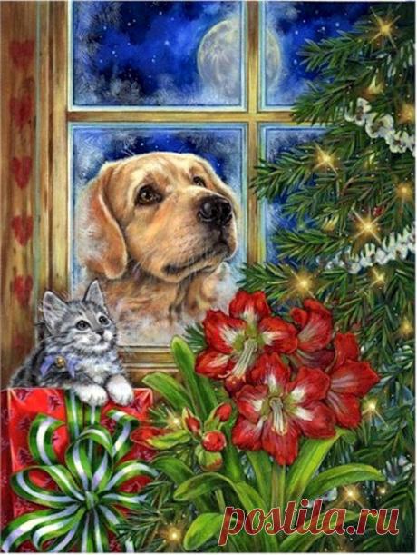 ХУДОЖНИК DONNA RACE