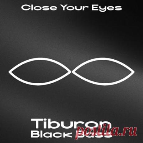 Tiburon - Black Bass