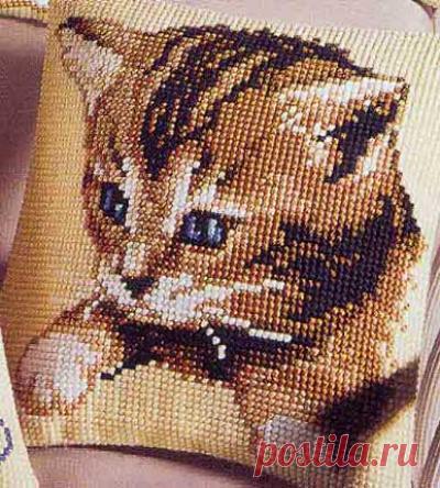 Кошки + кот и собака