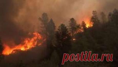 Планета Земля и Человек: Несколько штатов США объявлены зоной стихийного бедствия