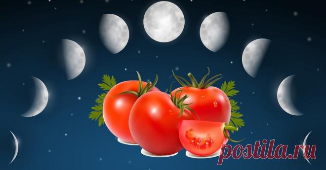 Выращивание томатов по Лунному календарю в 2019 году Спланировать посадку томатов, их подкормку, пасынкование и другие работы в соответствии с Лунным календарем-2019 поможет наша статья.