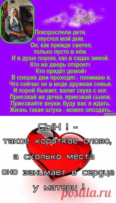 (2) Одноклассники