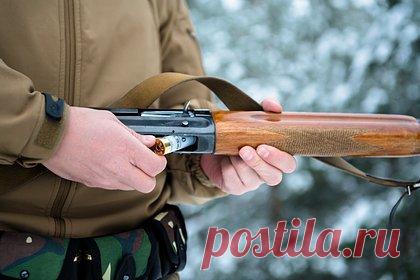 В российской тайге нашли разгромленным вероятное укрытие пропавшего в ноябре охотника