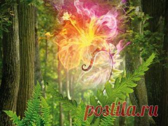 Народные приметы и обычаи на Ивана Купалу День Ивана Купалы — один из самых мистических праздников года. В это время особенно важно соблюдать вековые обычаи и следовать традициям: с их помощью можно привлечь в свою жизнь удачу и благополучие.