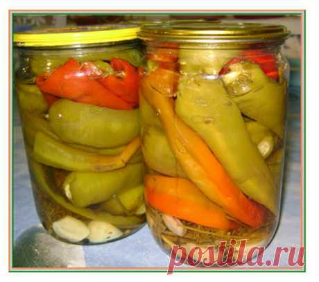 Горький перец на зиму. Рецепт - маринованный горький (стручковый) перец