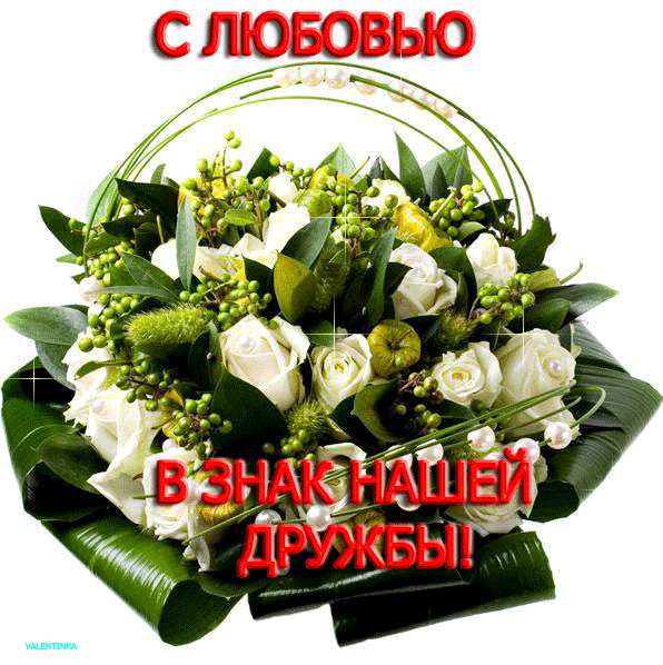Привет, друг