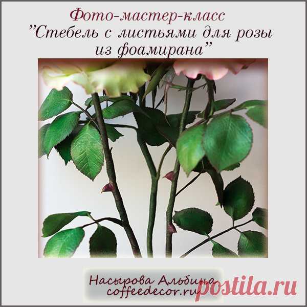 Мастер-класс «Стебель с листьями для розы из фоамирана» - CoffeeDecor.ru В мастер-классе описана технология создания стебля для розы с листьями, шипами и цветоложе.