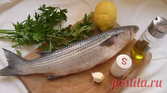 Самая полезная рыба, которую мы напрасно игнорируем Прочее
