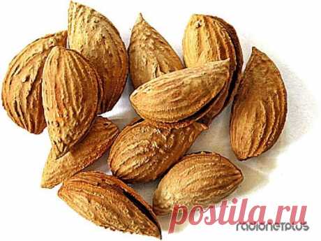 Рак излечим? уникальное лекарства
Книга американского писателя-документалиста Эдуарда Гриффина "Мир без рака” посвящена истории одного открытия, главным героем которого является Витамин В17 или лаэтрил, или амигда…