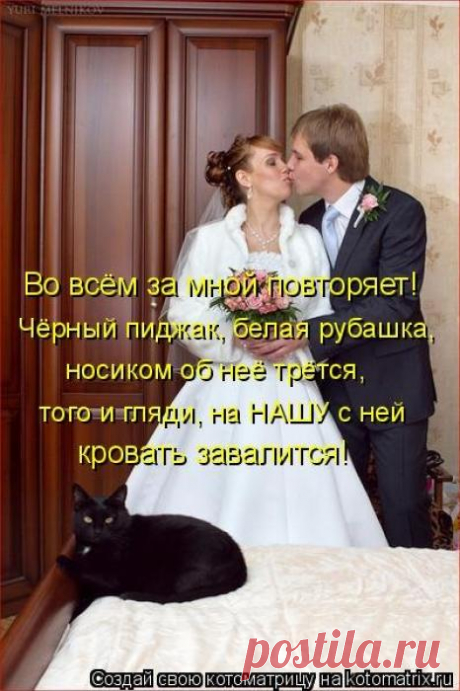 Всё повторяет
