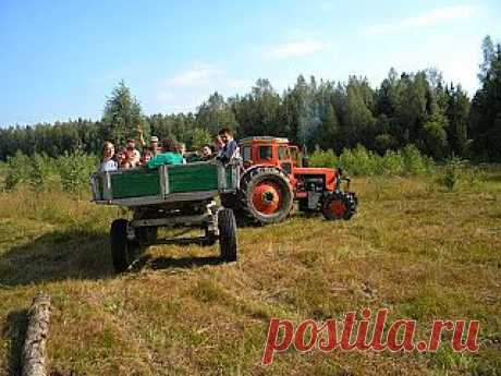 Новости интеллектуального развития: Обсуждение манифеста экопоселения Ковчег