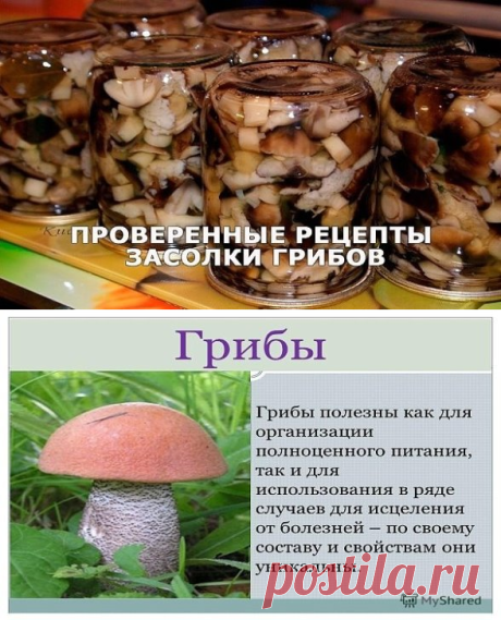 Грибы