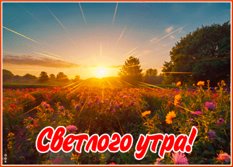 Доброе утро! Открытка с солнечными лучами