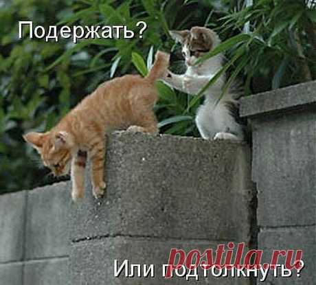 Если друг оказался вдруг...