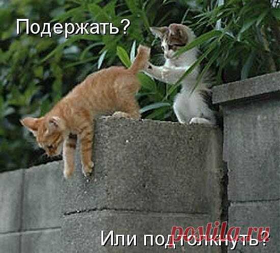 Если друг оказался вдруг...