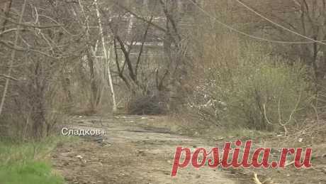 video_2022-04-17_22-40-43