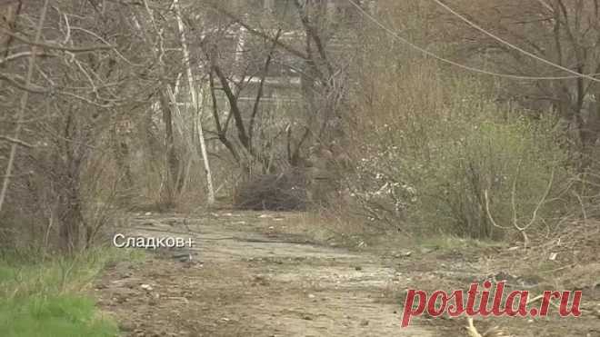 video_2022-04-17_22-40-43