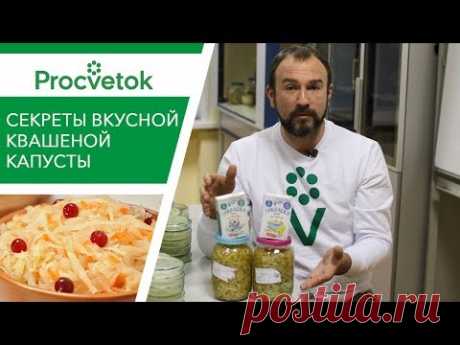 Пора квасить! Готовим вкусную и полезную квашеную капусту
