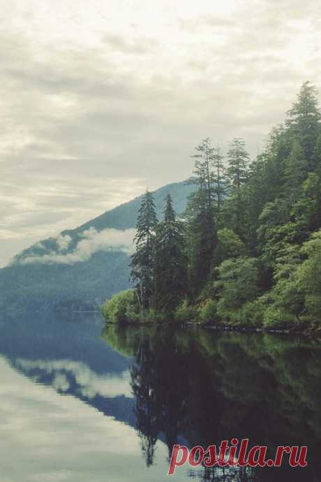 (7) Tumblr