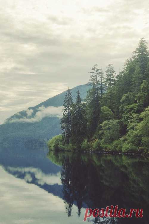 (7) Tumblr