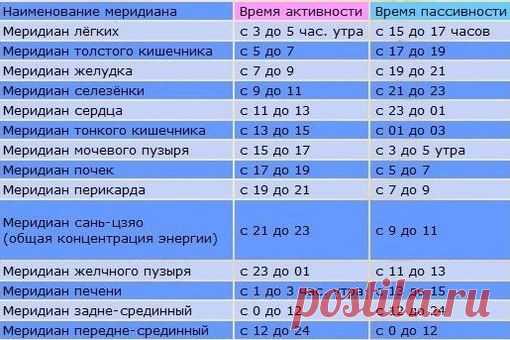 Ритмичность- это основное свойство живого организма | Приветствуем ВАС на сайте ГАЛАКТИКА