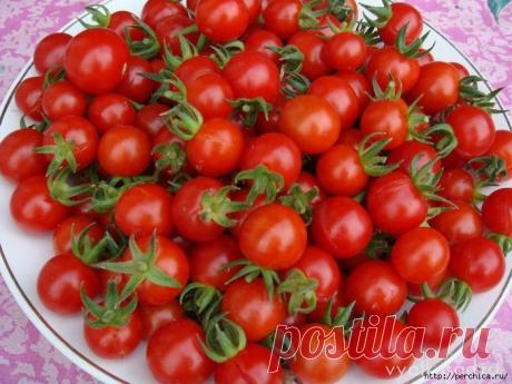 Дневник Lenka-44